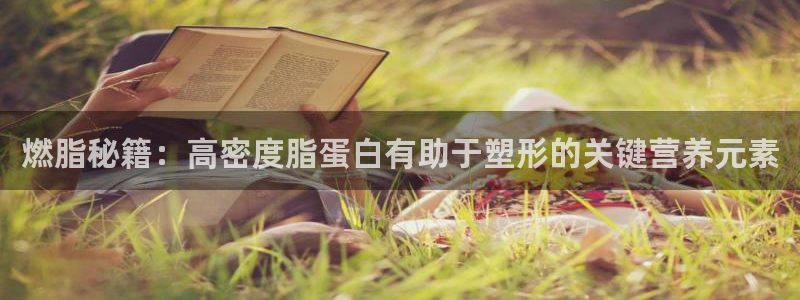 vsport体育在线官网