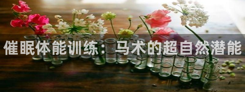 vsport体育在线官网