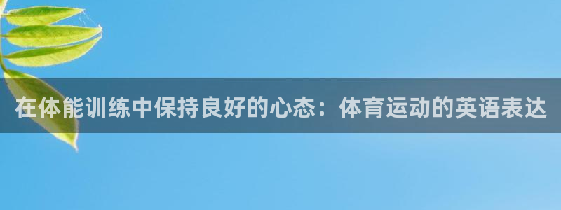 vsport体育在线官网