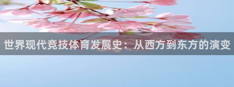 vsport体育在线官网
