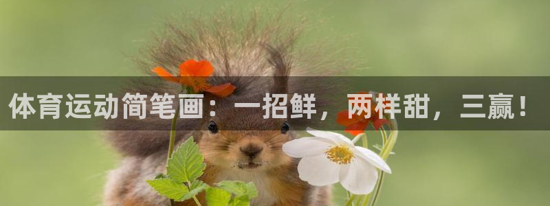 vsport体育在线官网