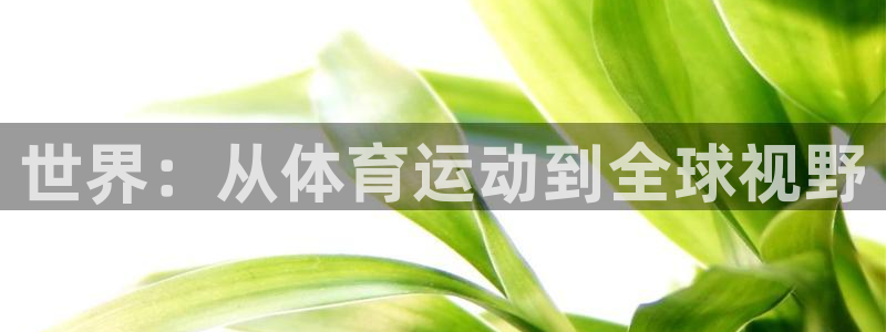 vsport体育在线官网
