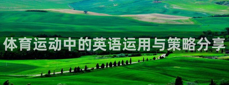 vsport体育在线官网