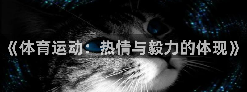 vsport体育在线官网