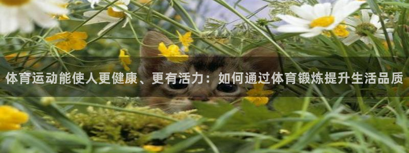 vsport体育