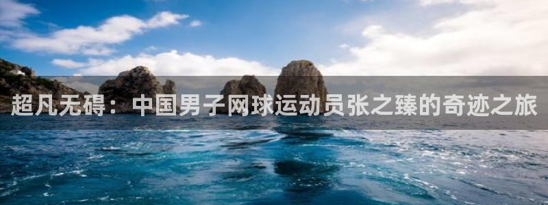 vsport体育在线官网